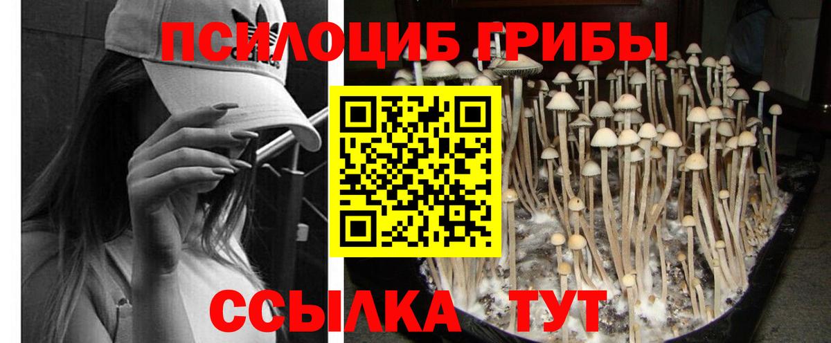 Псилоцибиновые грибы MAGIC MUSHROOMS Златоуст